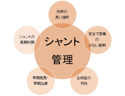 当院のシャント管理